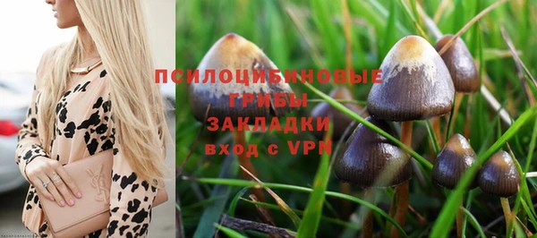 ГАЛЛЮЦИНОГЕННЫЕ ГРИБЫ Вязьма