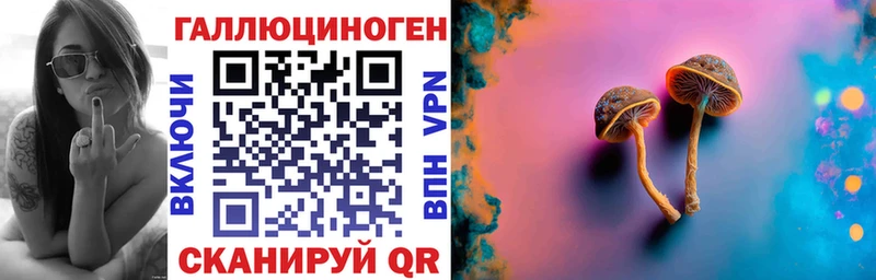 Галлюциногенные грибы GOLDEN TEACHER  Купить  Себеж 
